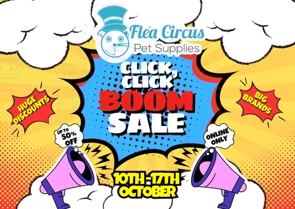 CLICK CLICK BOOM SALE  (148 x 105 mm)-1