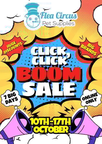 FC CLICK CLICK BOOM BOOKLET OCTOBER