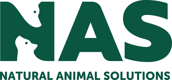 NAS_Logo+Name_7484c