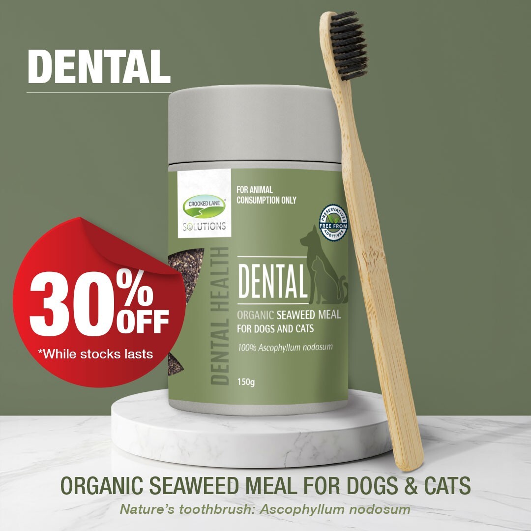 Dental
