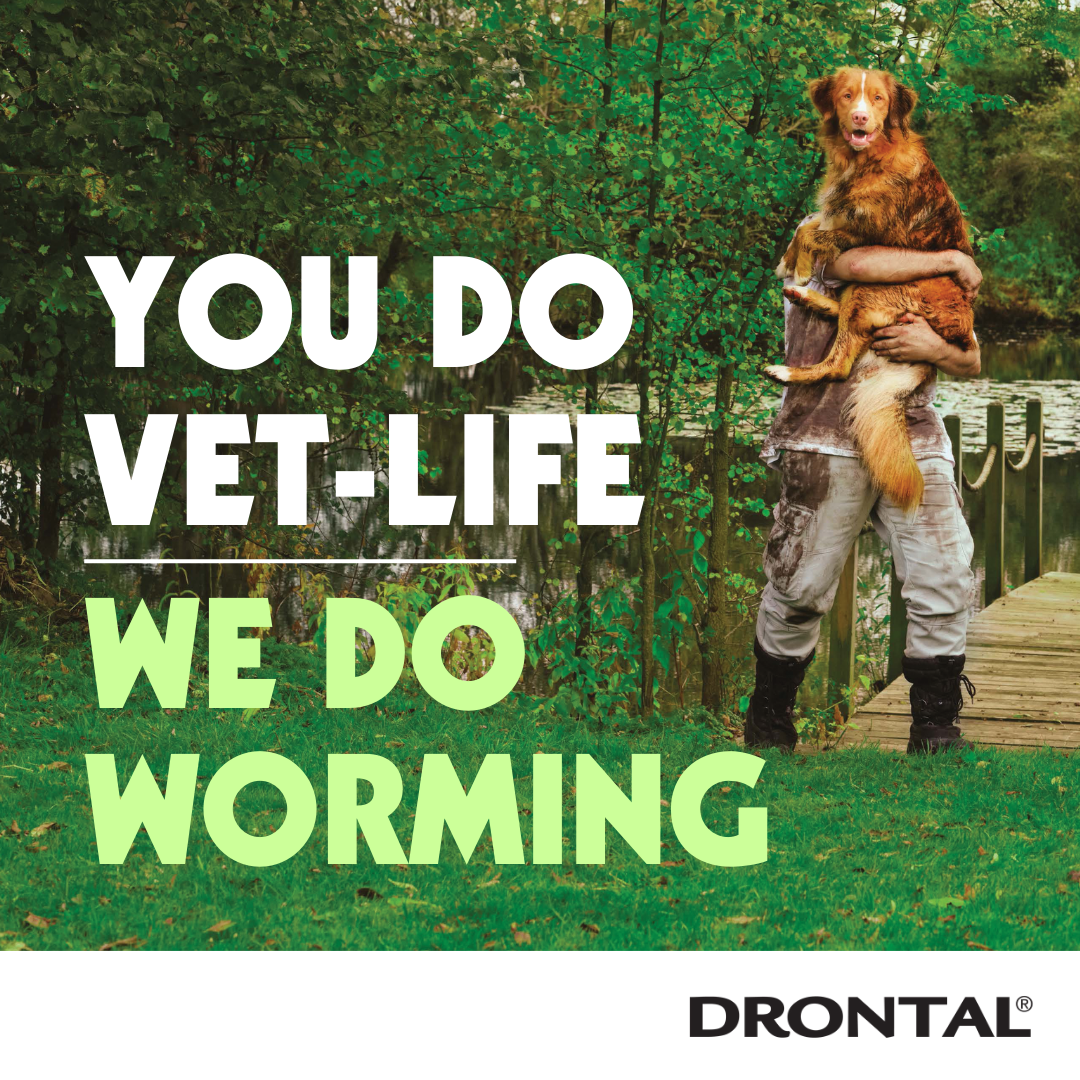 Drontal Pet-Life 11 Tile (2)