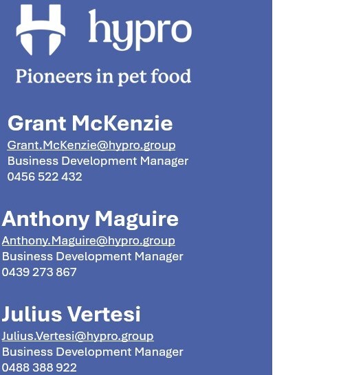 MEET THE TEAM