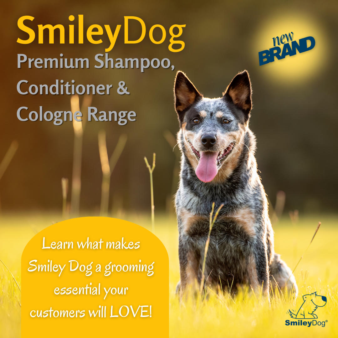 Smiley Dog CCD Sale Blog